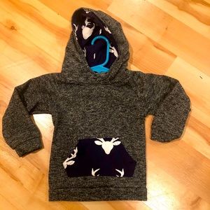 Toddler Boy’s Hoodie